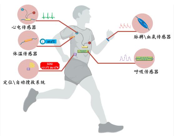 生物传感电子电路