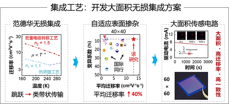 高迁移率、高一致性器件阵列