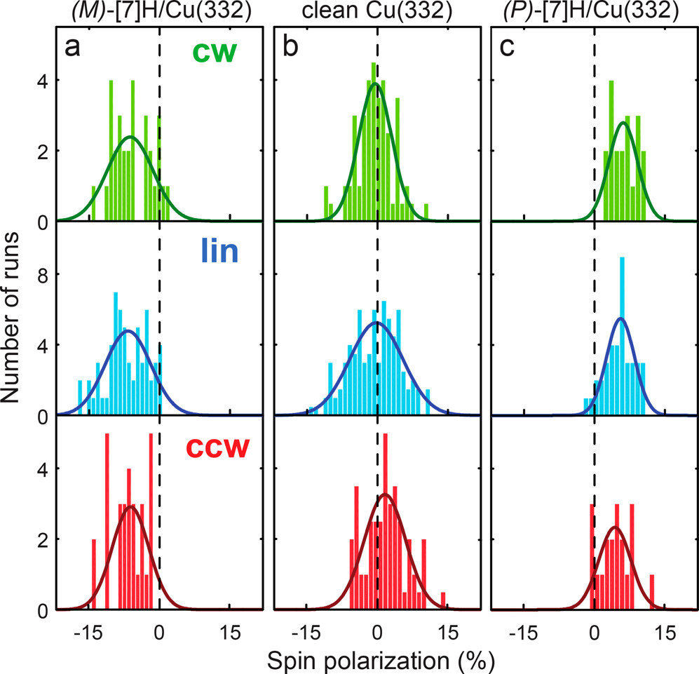 电子自旋极化直方图