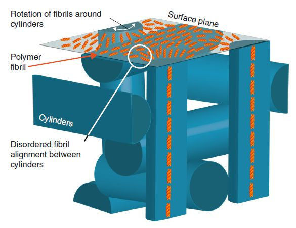 非取向 ACPCA 薄膜的分子排列模型示意图